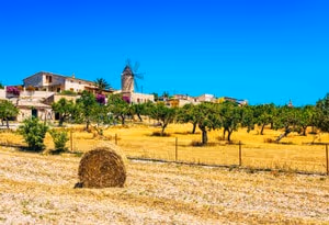 Mallorca Inselmitte