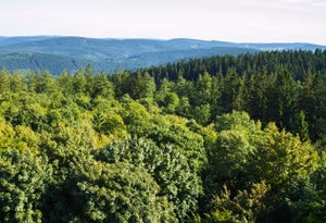 Landkreis Waldeck-Frankenberg