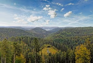 Südschwarzwald