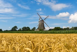 Wyk auf Föhr