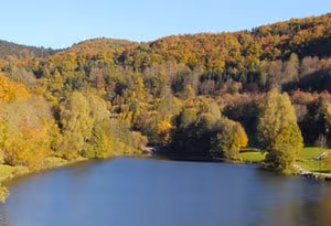 Rieden (Eifel)